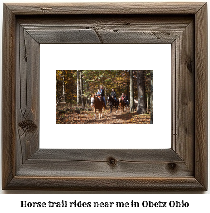 horse trail rides near me in Obetz, Ohio